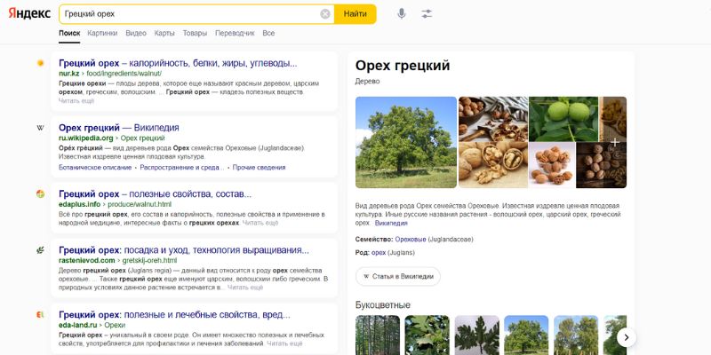 Что такое SEO? Информация для начинающих